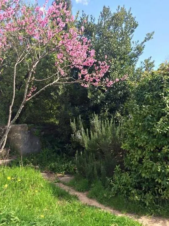 Le Cabanon De Sandrine Villa Barjols