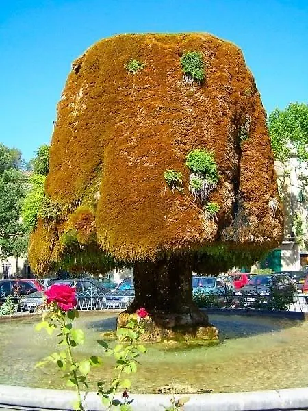 Le Cabanon De Sandrine Villa Barjols