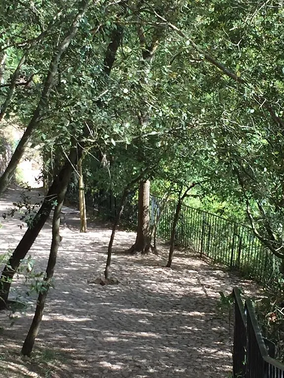 Le Cabanon De Sandrine Villa Barjols Holiday home